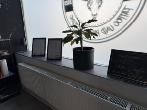 f45e3139-ccab-4d48-9356-953291a33795